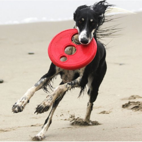 Frisbee pour chien Friz Fly