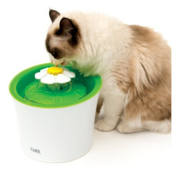 Meilleure Fontaine à eau chat design Cat It Fleur
