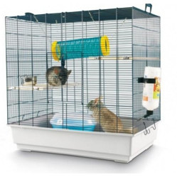Cage Chichi 2