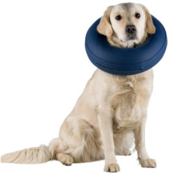 Collerette, bouée chien de protection