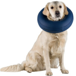 Collerette, bouée chien de protection