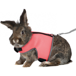 Harnais lapin Soft rose avec laisse
