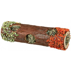Tunnel rongeur avec foin et fleur hibiscus carotte et pois