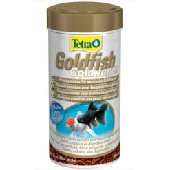 Goldfish poissons japonais