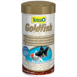 Goldfish poissons japonais