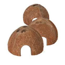 Maison noix de coco x3