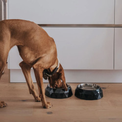 Gamelle design pour chien Kimberley noir