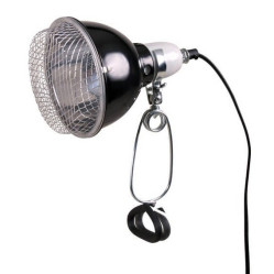 Lampe réflecteur à pince 100 W pour terrarium