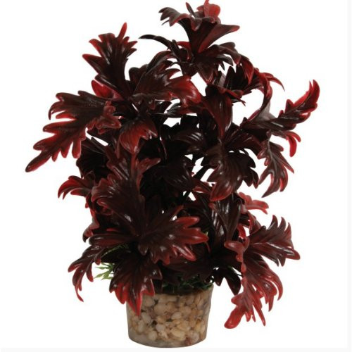 Plante Aquatique Précieuse de Poisson Vivant, Faux SeeAbropérer, Décoration  d'Aquarium, 22cm