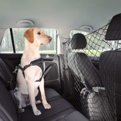 Accessoires auto pour chien