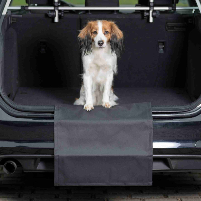 DWAM - Couverture de voiture pour protéger le coffre et les sièges arrière  - Dog with a Mission