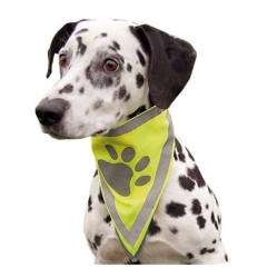 Foulard réfléchissant pour chien