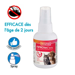 Spray anti puce chaton et chiot Fiprotec