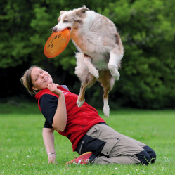Frisbee compétition Dog Disc
