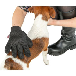 Gant ramasse poils chat et chien