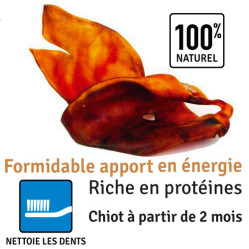 Oreilles de porc x 2 pièces pour chien