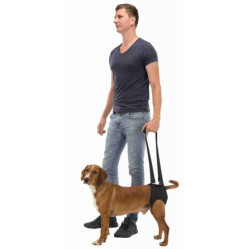 Harnais chien handicapé