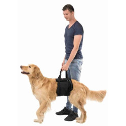 Harnais chien handicapé