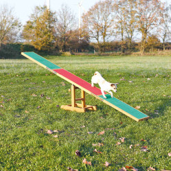 Bascule Agility 