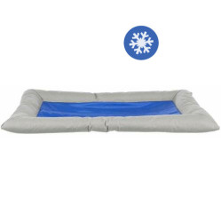 Coussin rafraîchissant Cool Dreamer