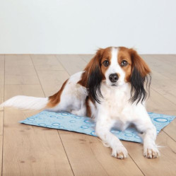 Matelas rafraîchissant Cooling mat bleu