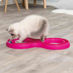 Jeu Flashing Ball Race 