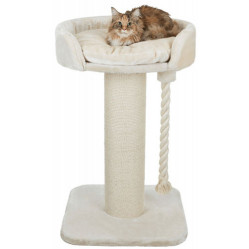 Arbre à chat XXL, Design, gros poteau, 100 cm Klara
