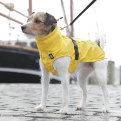 Imperméable pour chien : Vimy jaune