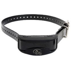 Collier anti-aboiement Sportdog gros chien