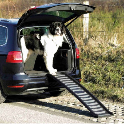 Rampe pour chien pliable en caoutchouc