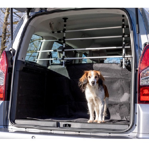 Tapis de coffre pour chien Doctor Bark - Accessoires pour véhicules  (6409244)