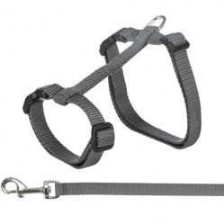 Harnais XL avec laisse pour grand chat Gris