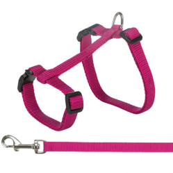 Harnais XL avec laisse pour Maine Coon Rose