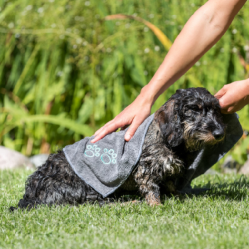 Serviette microfibre pour chien