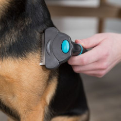 Brosse carde anti-poil