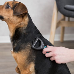 Étrille Universelle pour chien et chat Bleu