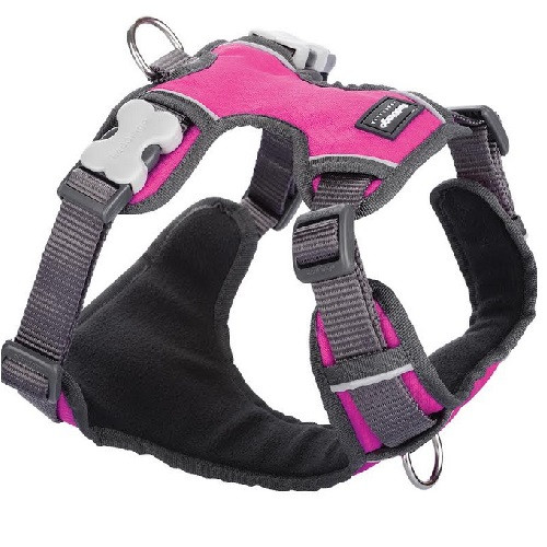 Harnais anti traction pour chien - Front Control - Rose - DogDeRue