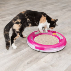 Jeu avec griffoir carton Race & Scratch