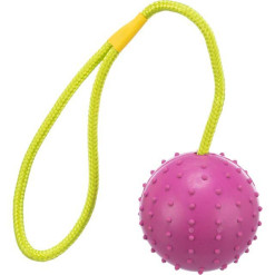 Lanceur de balle caoutchouc