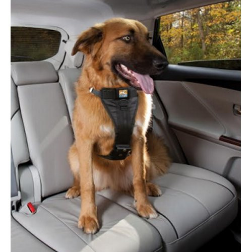 Acheter Harnais coussin ceinture de sécurité pour animaux de compagnie  voiture corde de sécurité chien ceinture de sécurité fixe voiture cordeDog voiture  ceinture de sécurité