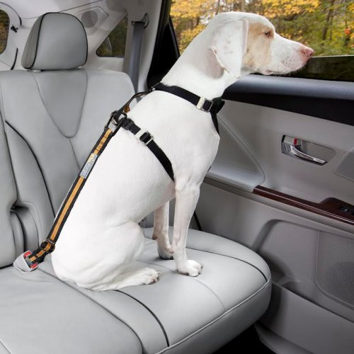 Acheter Harnais coussin ceinture de sécurité pour animaux de compagnie  voiture corde de sécurité chien ceinture de sécurité fixe voiture cordeDog  voiture ceinture de sécurité