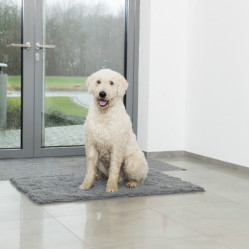 Tapis absorbant anti-saletés en microfibre GRIS