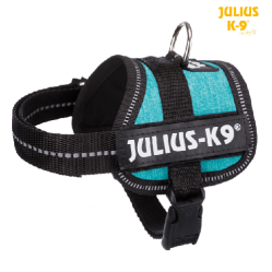 Harnais Power Julius-K9 Baby Mini pour chien BLEU OCEAN 