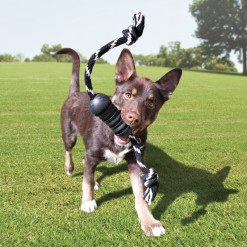 Jouet KONG Extreme Dental w/Rope