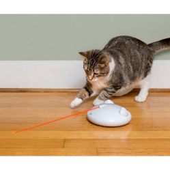 Laser automatique Zip pour chat