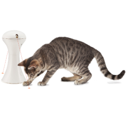 Jouet Multi-laser pour chat Toy 