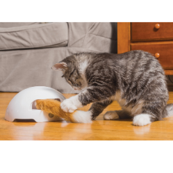 Jouet Électronique Foxden pour chat