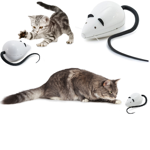 niCWhite Jouet pour chat en forme de souris télécommandée - Jouet interatif  pour chat mobile - Sans fil - Souris électronique pour rat et exercice  (noir) : : Animalerie