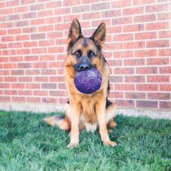 Balle KONG FlexBall