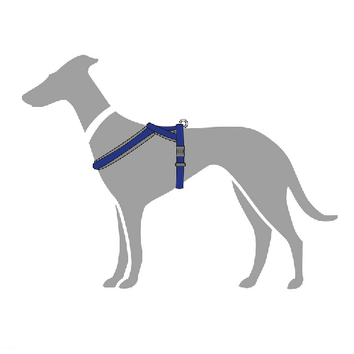 Harnais pour chien ROMA Bleu foncé XS (34-42cm)